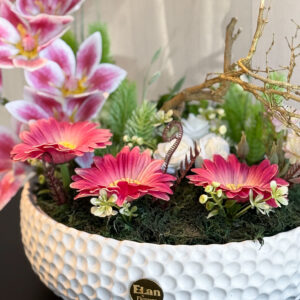 Orchid Elegance